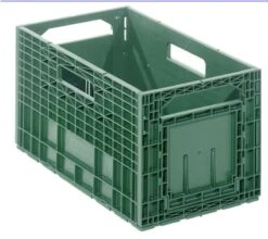 Contacto Weinkiste, Dunkelgrün